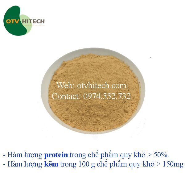 Bột chiết xuất Hàu biển OTV (9)