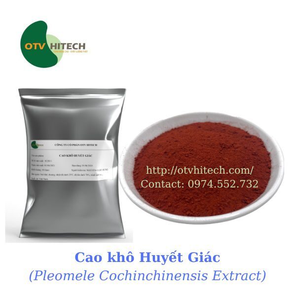 Cao khô Huyết giác OTV (3)