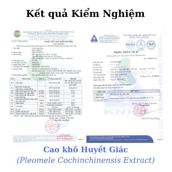 Cao khô Huyết giác OTV (8)