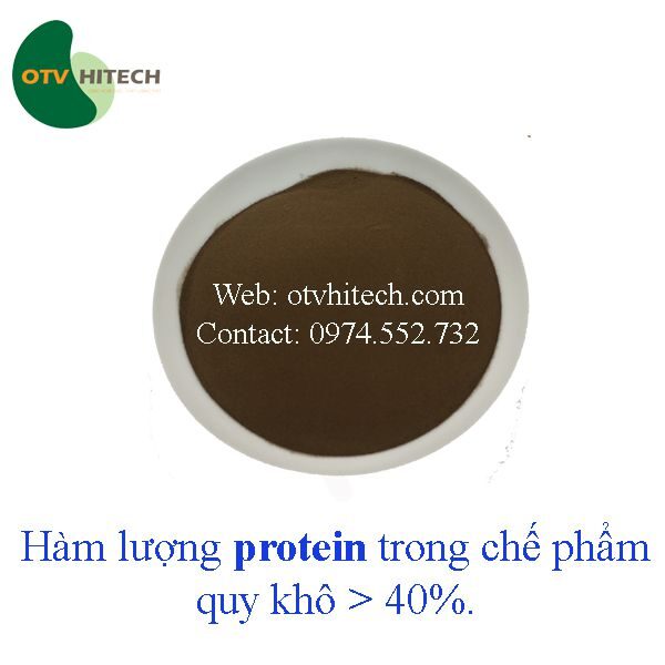 Bột chiết xuất Hải sâm OTV (9)