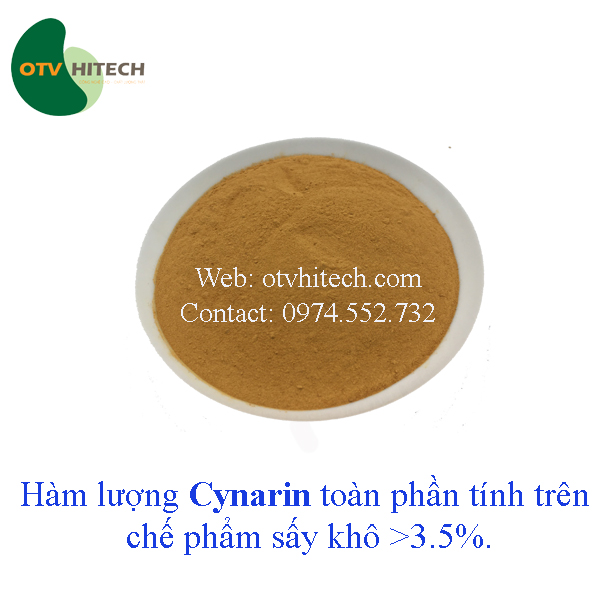 Cao khô Actiso định lượng OTV