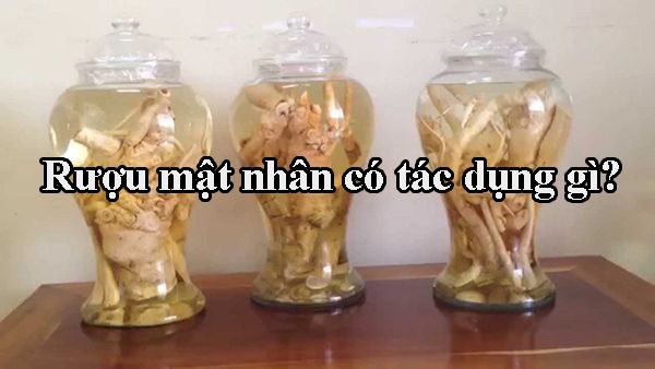 Tác dụng của rượu mật nhân