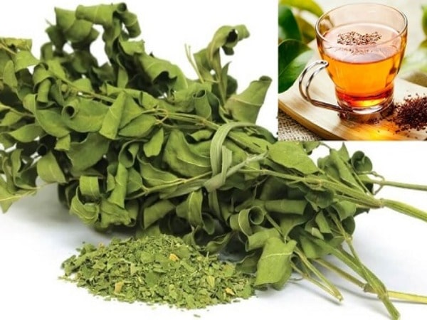 Dây thìa canh khô sắc uống