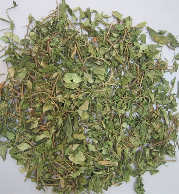 Dây thìa canh khô