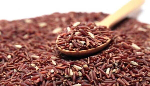 Gạo lứt thay thế được cho cơm không