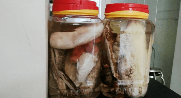 Hải sâm ngâm rượu