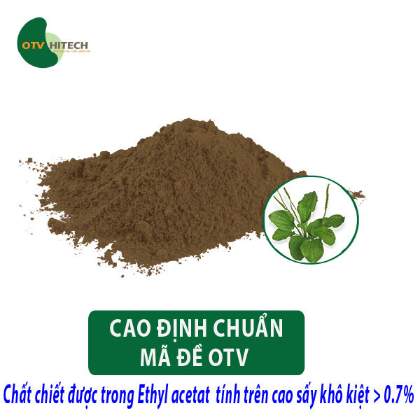 Định lượng Cao khô Mã Đề OTV