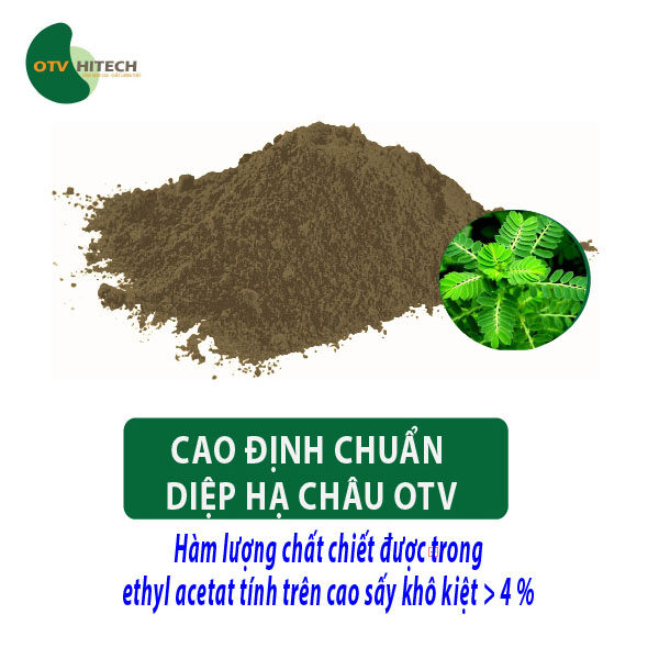 Cao khô Diệp Hạ Châu OTV (4)