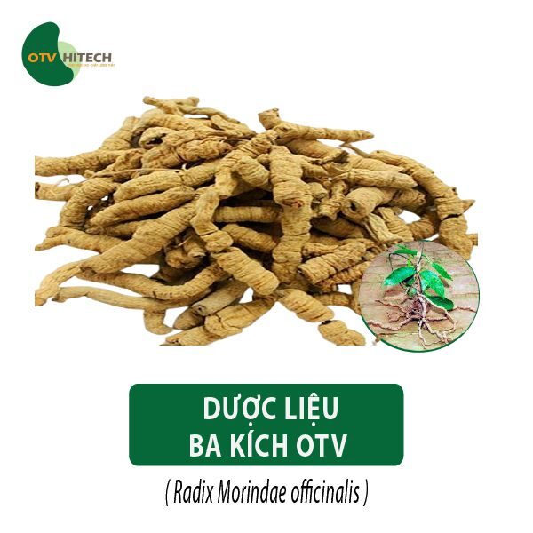 Dược liệu Ba Kích OTV
