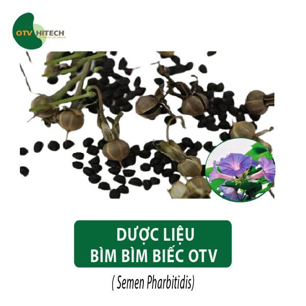 Dược liệu Bìm Bìm Biếc OTV