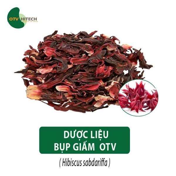 Dược liệu Bụp Giấm OTV