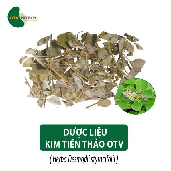 Dược liệu Kim Tiền Thảo OTV