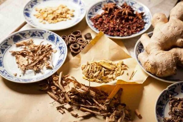 Dược liệu trong y học cổ truyền là gì