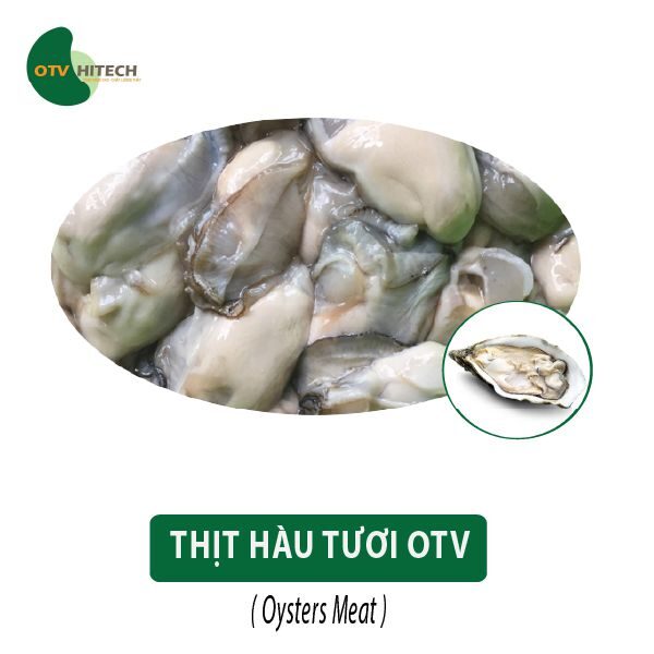 Thịt Hàu Tươi OTV