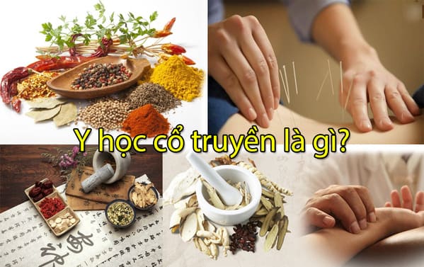 Y học cổ truyền là gì