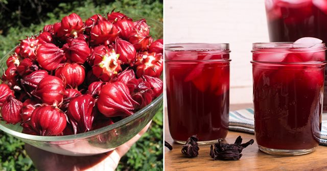 Ngâm atiso Lợi ích và cách sử dụng