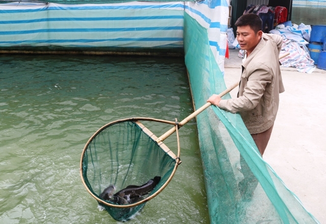 Nuôi thủy sản bền vững Điều gì cần thiết?