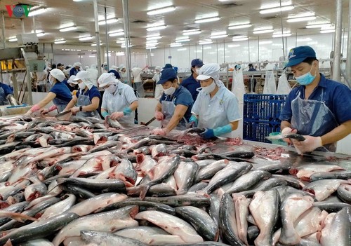 Nuôi trồng thuỷ sản Đó là gì và tại sao nên làm?