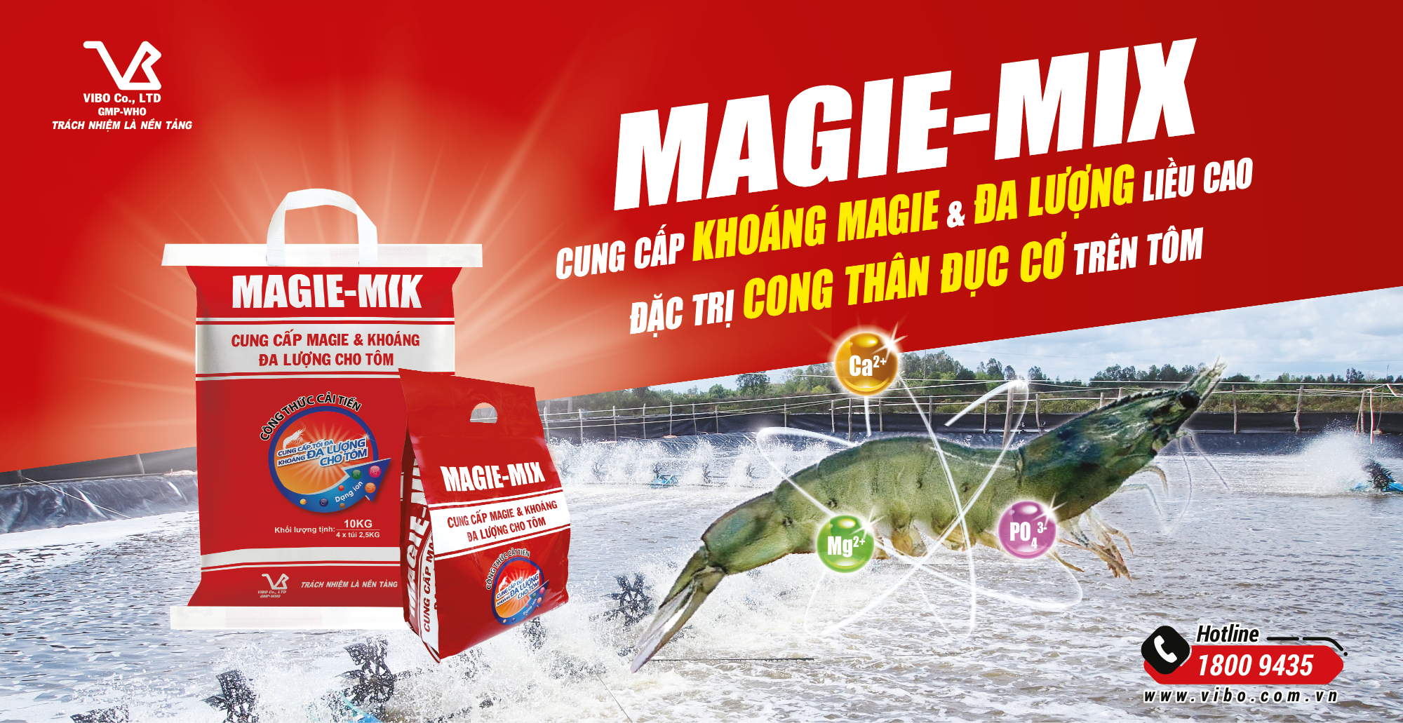 TĂNG TRƯỞNG TỐI ƯU CHO THỦY SẢN VỚI GIẢI PHÁP CAO ACTISO